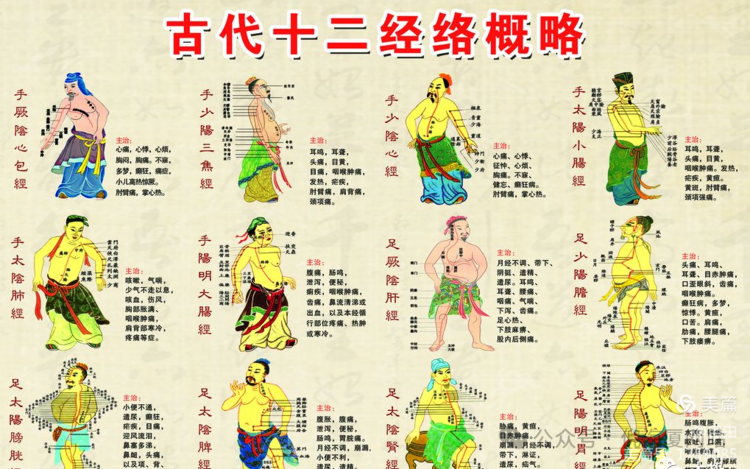 人体十二经络穴位高清图（收藏版本）