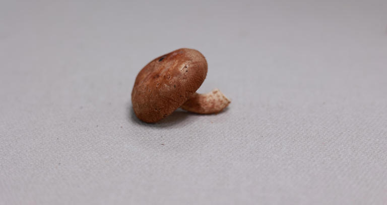 这3种不宜二次加热的食物，吃不完最好扔掉，为了健康别盲目节省
