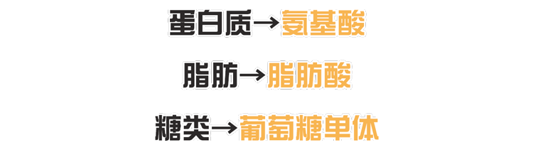 枸杞能明目、降血糖？枸杞干吃好还是泡水好？真相来了