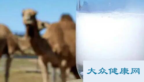 哪些人适合喝驼奶