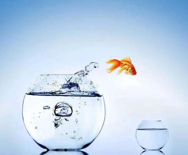 喝水也有讲究！这3个方法让你喝对水，远离身体问题