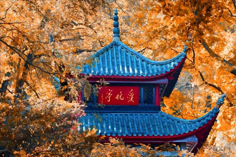 最美的10处长沙美景！