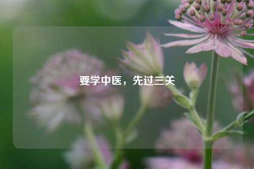 要学中医，先过三关